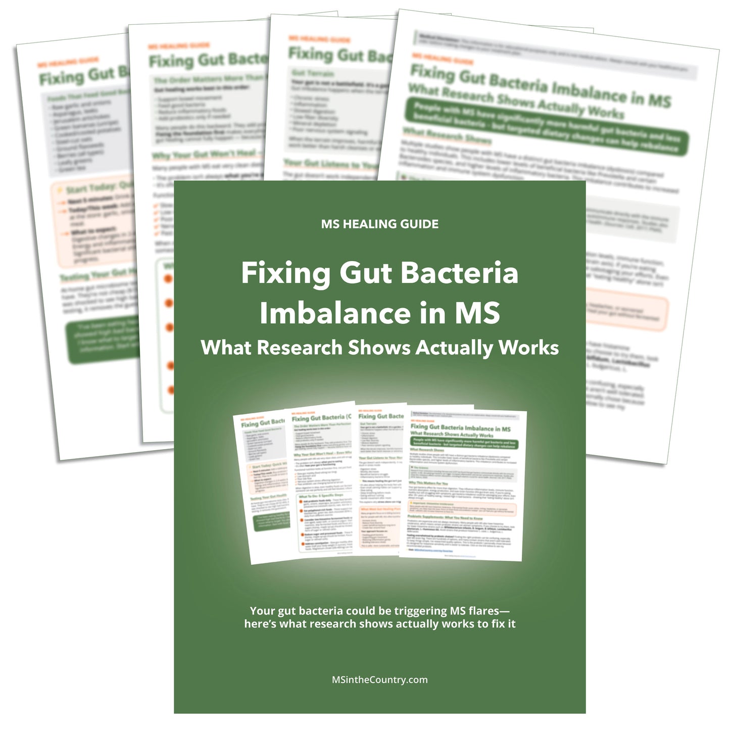 Fixing Gut Bacteria Imbalance in MS