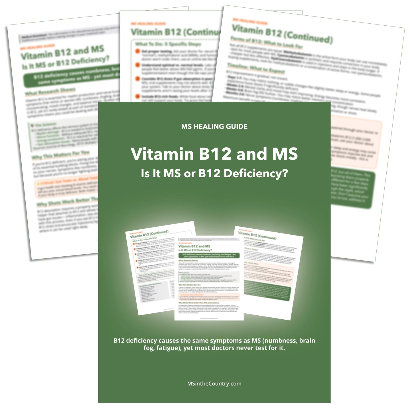 Vitamin B12 and MS
